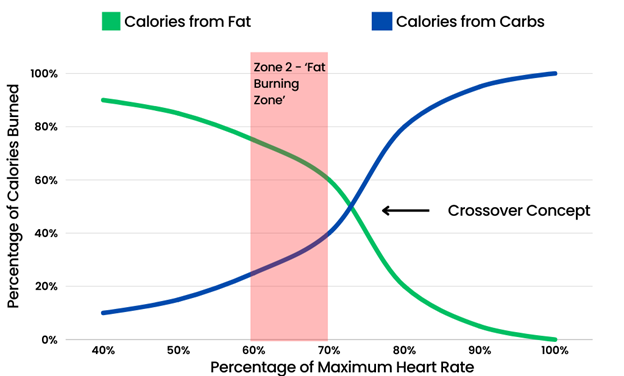 Zone 2 Phases Chart
